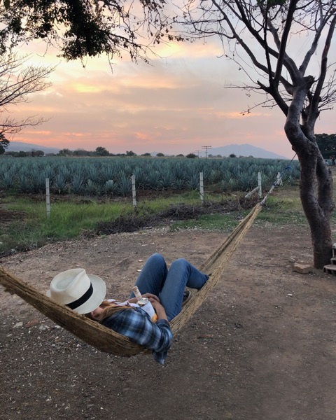 21Seeds founder Kat sitting in a hammock with a field of agave plants in the distance